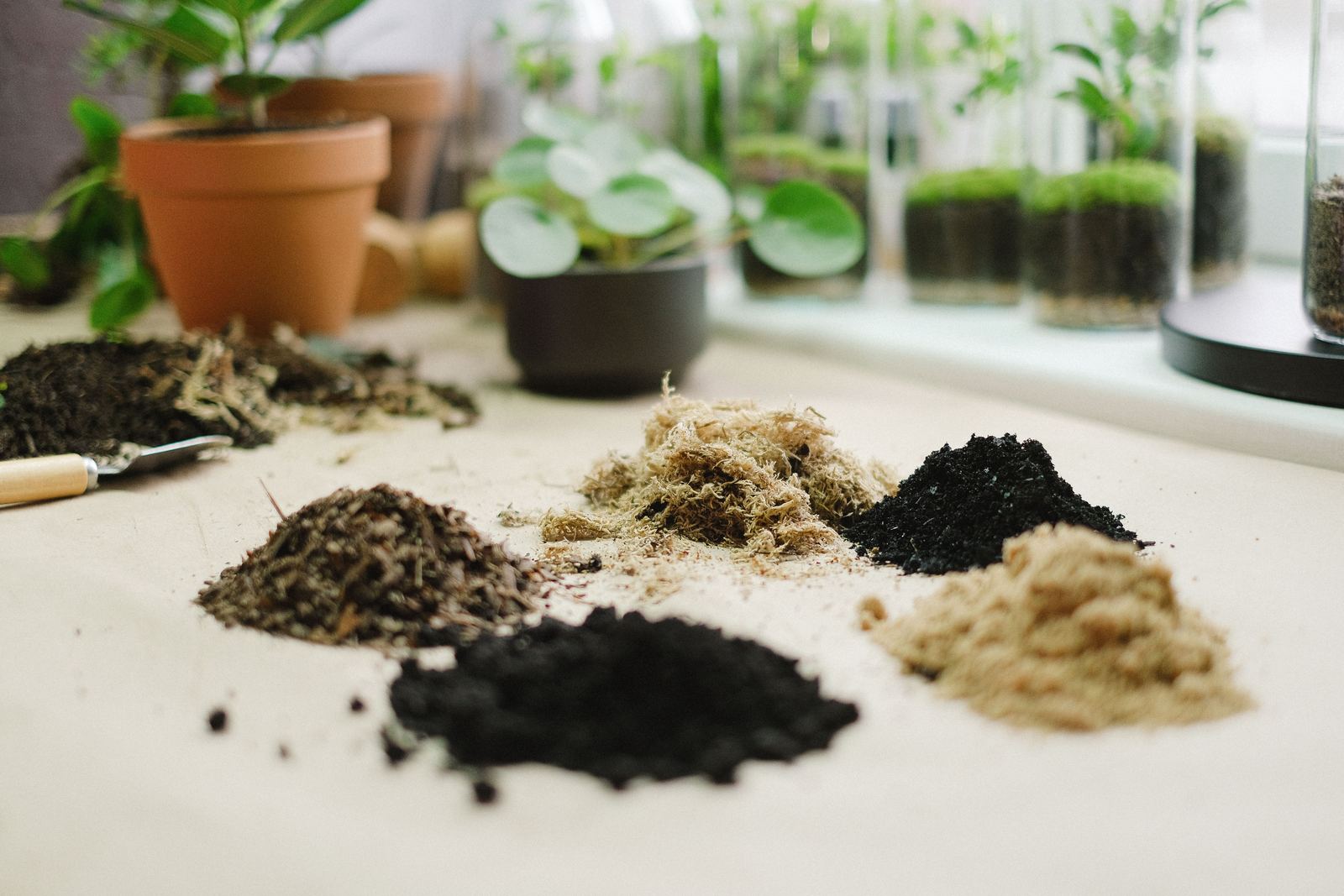 Layers of soil, charcoal and sand laid out on a work table