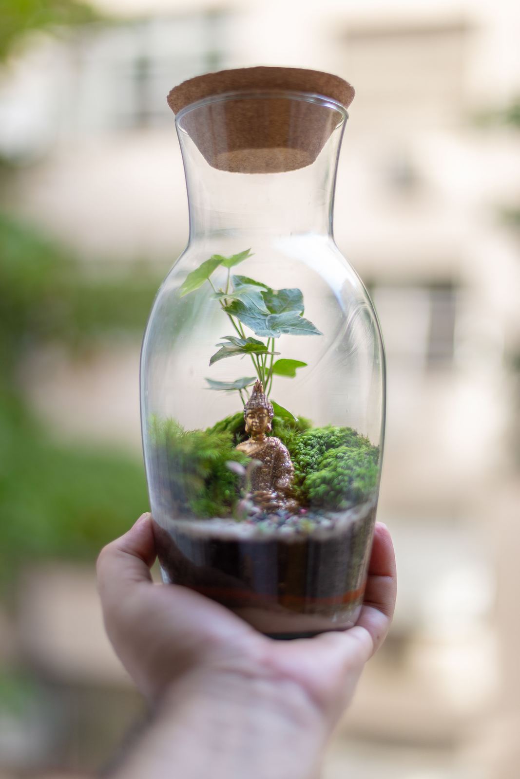 Small cork-topped carafe terrarium held in one hand