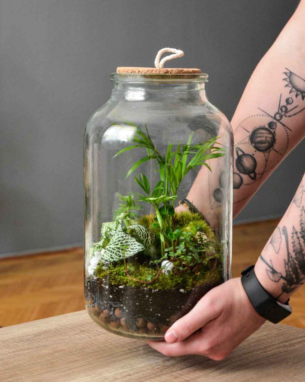 Hands placing a cork-topped glass jar terrarium with moss and ferns on a table