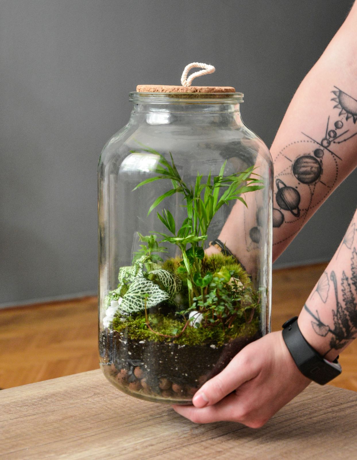 Closed cork-topped jar terrarium being placed on a table