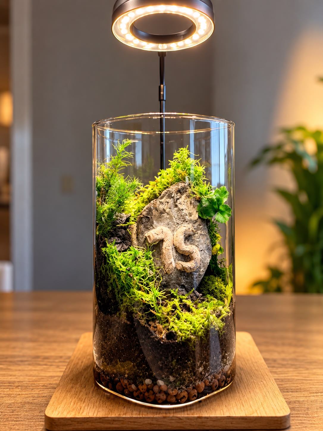 Cylinder terrarium with a carved number 75 stone surrounded by moss